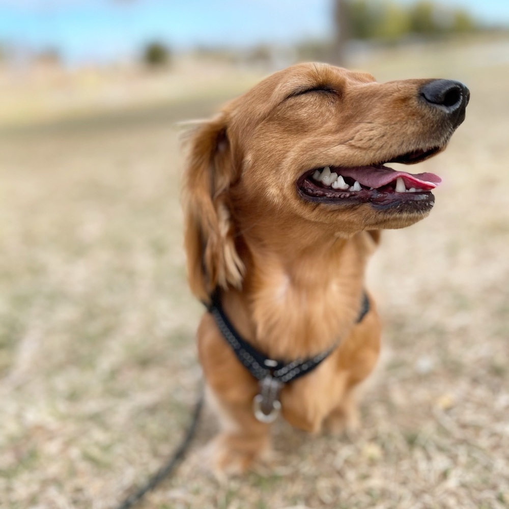 Meet your Posher, Catherine